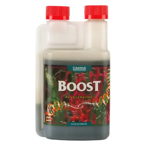 CANNABOOST Accelerator