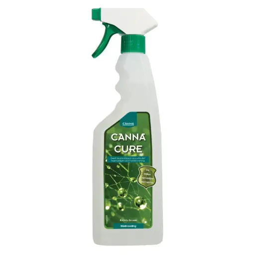 CANNACURE 